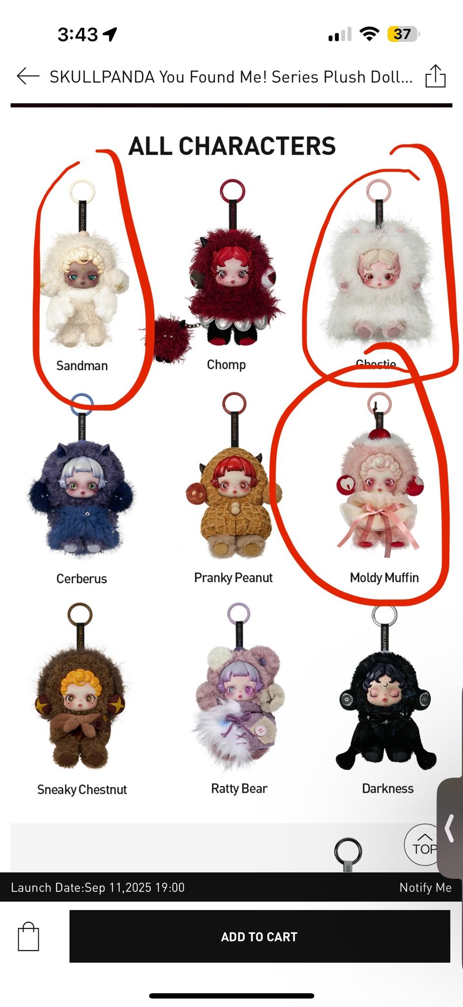 Natasha Link - Confirm Item