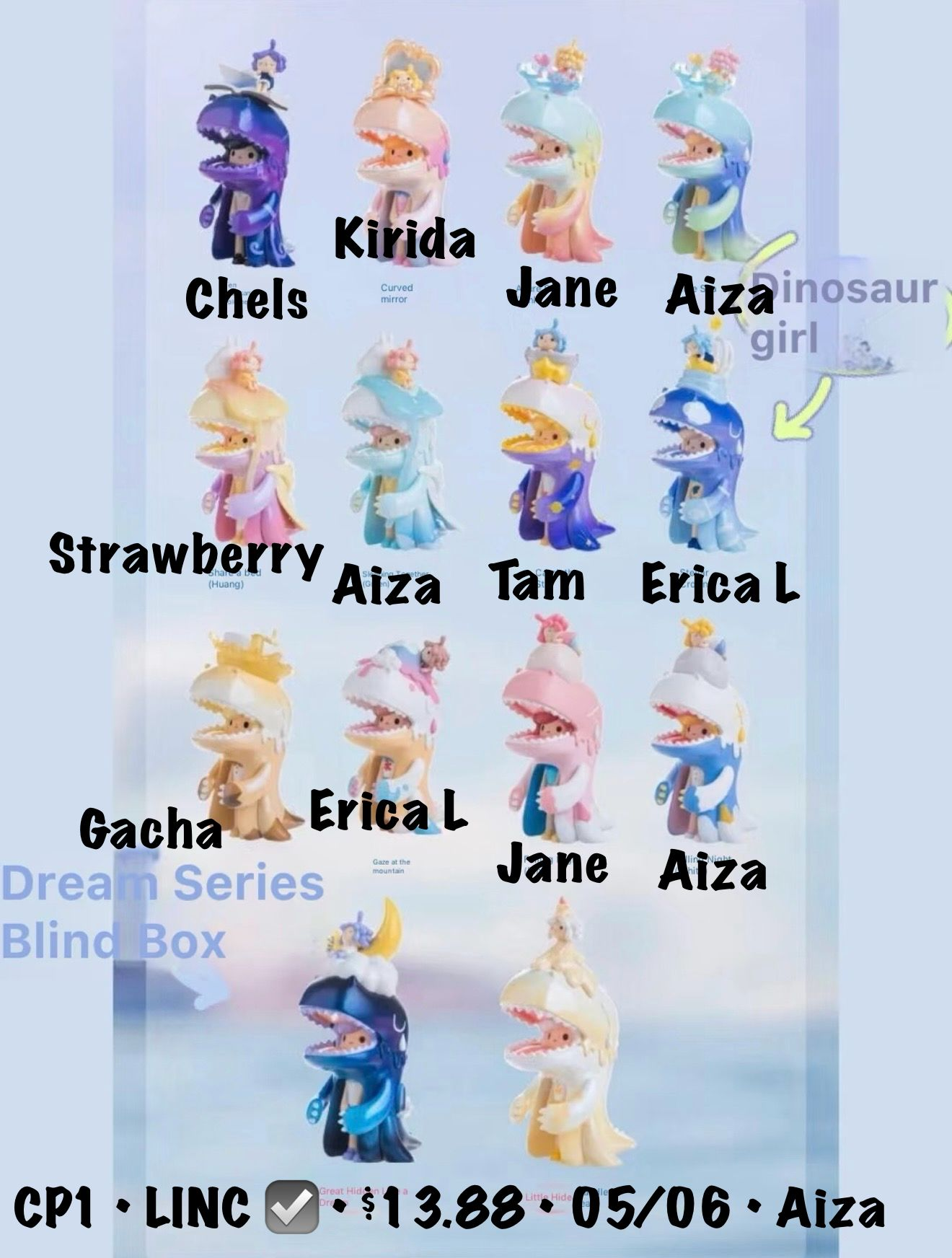 Dinosaur Girl's Dream Series Claim Party