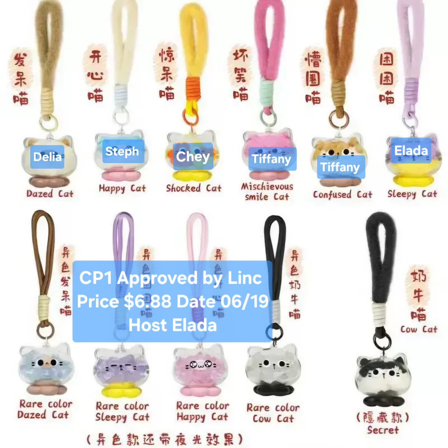 Kitty Pal: Everyday Companion Series