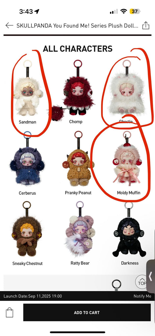 Natasha Link - Confirm Item