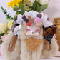 Tutulong Fantasy Biology Honey Sweet Star Plush Series toy surprise box Dolls
