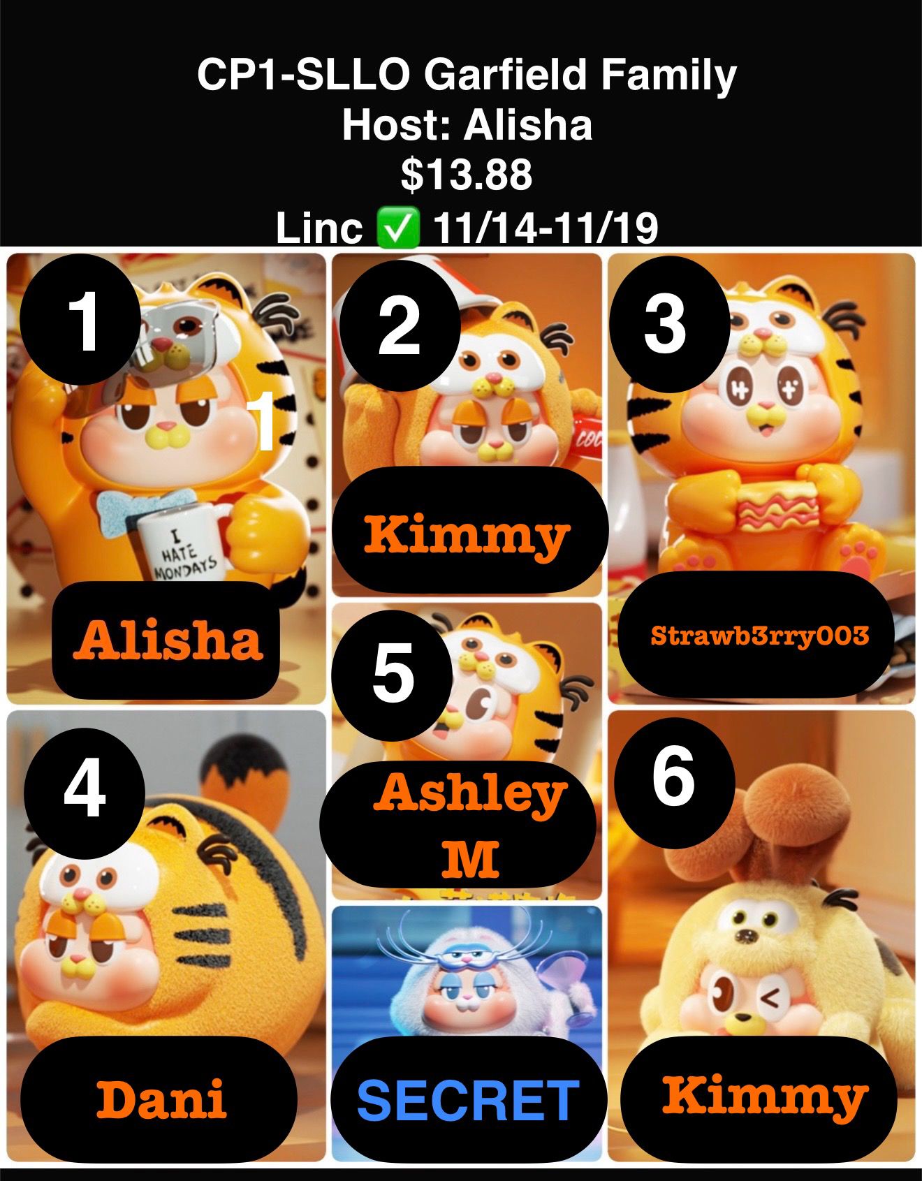 Sllo Garfield Family Series Claim Party