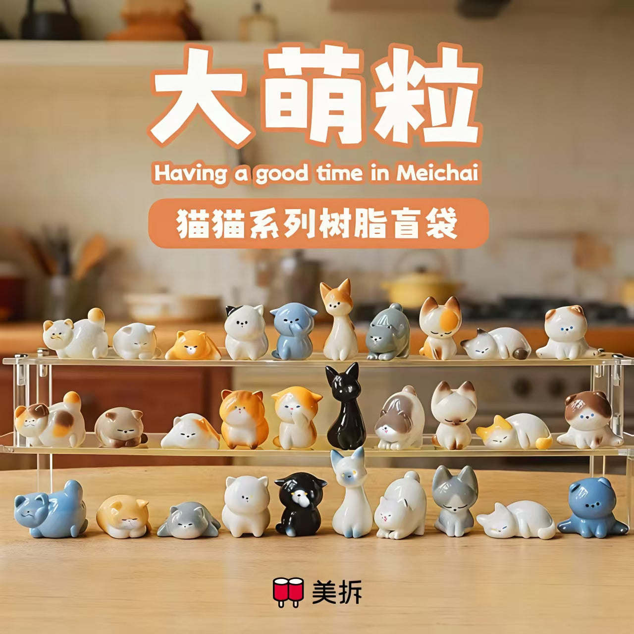 Meichai Cute Cat Minibean Series toy surprise box Dolls