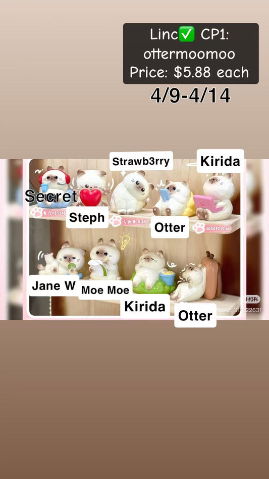 Lazy Kitten Series Claim Party