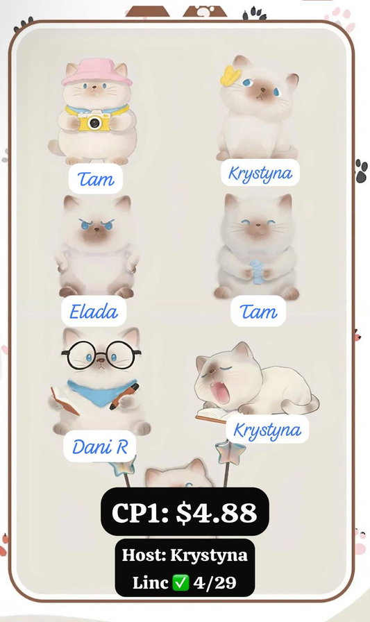 The Cat Travel Diary Series Claim Party