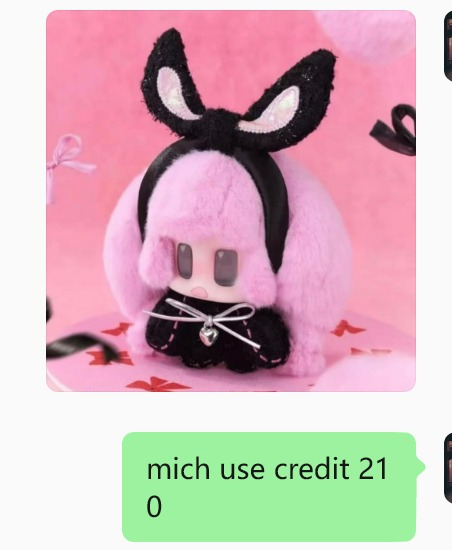 Michelle Link - Confirm Item