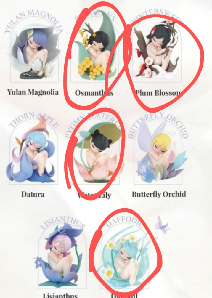 D Mirakhory Link - Confirm Item