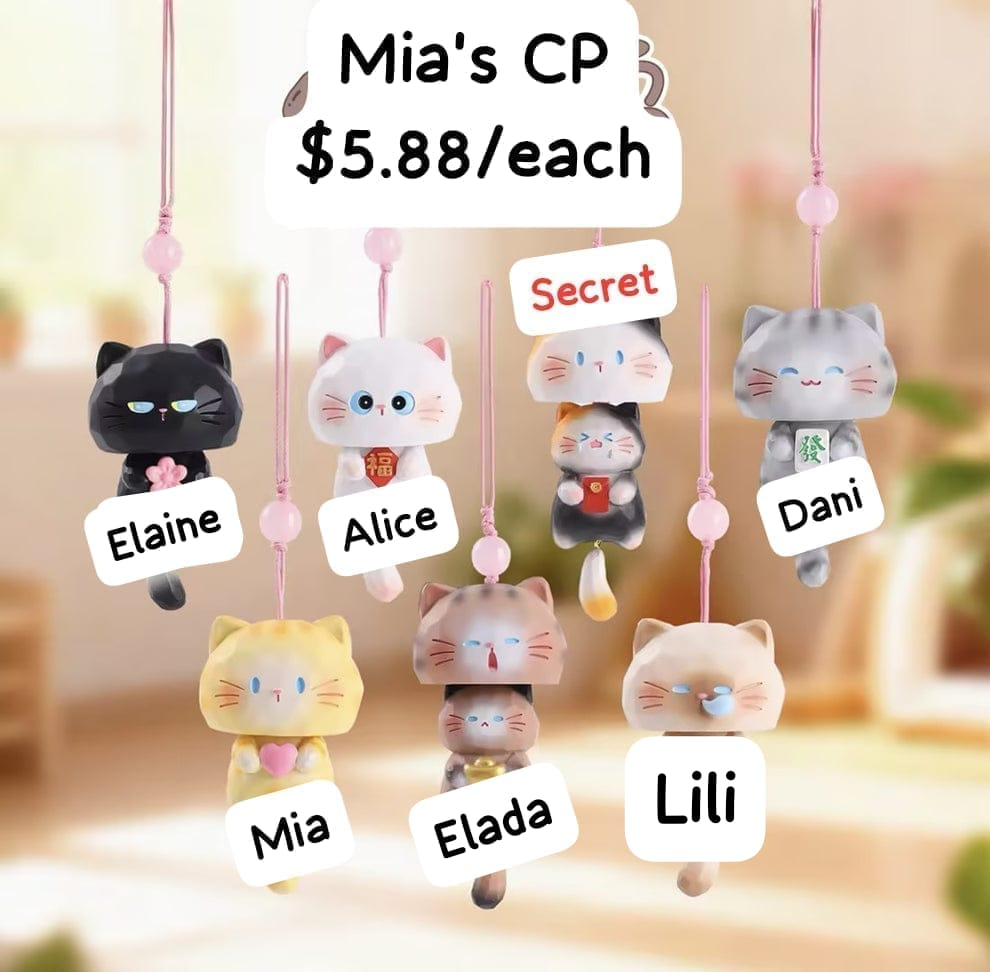 Little Meow Hide-and-Seek Series Claim Party
