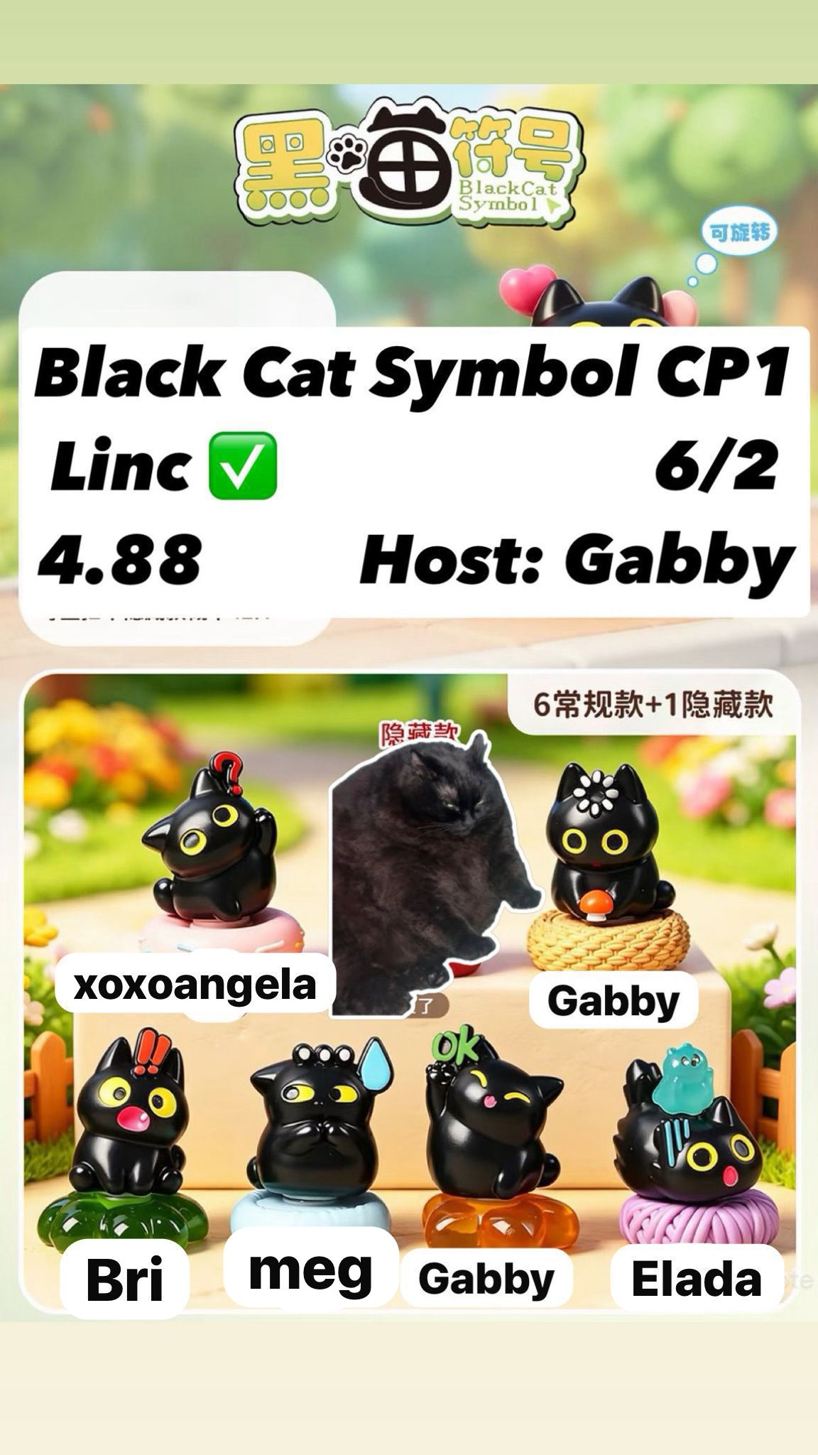 Black Cat Symbol Series Claim Party