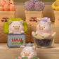 LULU Garden Minibean Series toy surprise box Dolls