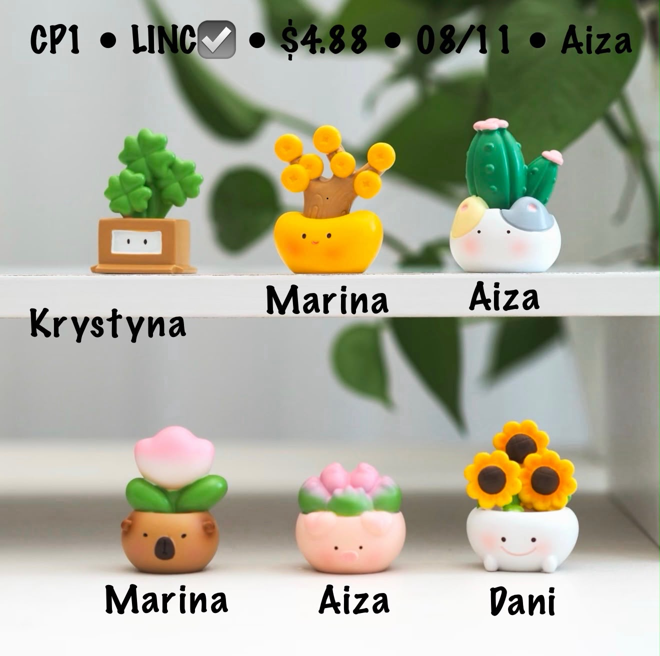 Lucky Potted Plant Healing Series Claim Party