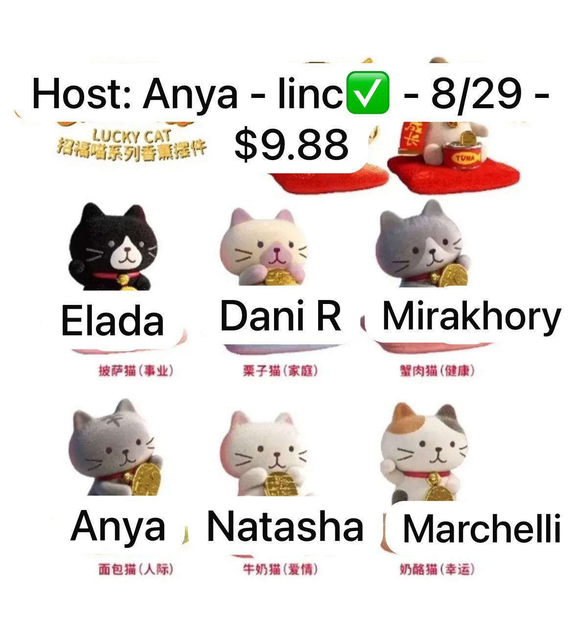 Cool Cat Fortune-Bringing Series Claim Party