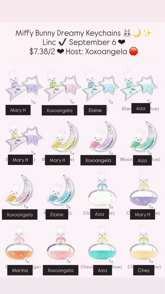 Miffy Bunny Dreamy Keychains series claim party